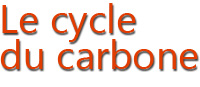 cycle du carbone