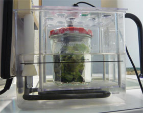 Dispositif pour étudier la photosynthèse réalisé au lycée Camille Claudel, à Palaiseau